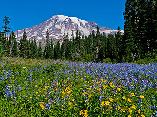 MRNP Reflection lak-Paradise loop 8/25/12