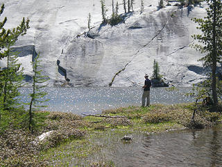 Fishing at Mesa