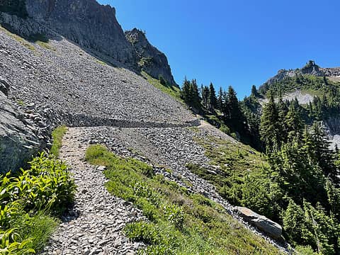 Cruiser trail to Pinnacle Saddle!