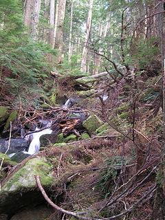 Mason Creek tumbling through the woods