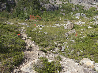 Basin trails, take the middle one