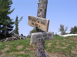 Trail junction