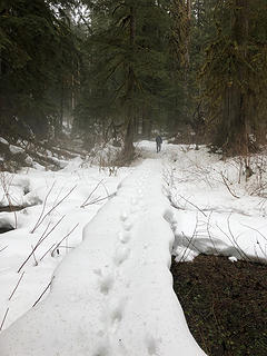 The Sultan River Trail 3/24/19