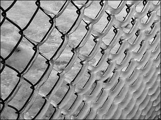 B&W Iced Chain Link Fence 2, 12.16.08.
