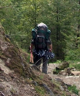 Snowshoes on Little Si