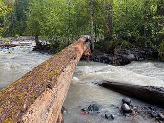 South Fork Mowich River Big Log