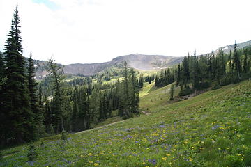 Taken near Hart's Pass