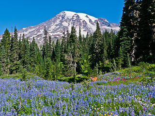 MRNP Reflection lak-Paradise loop 8/25/12