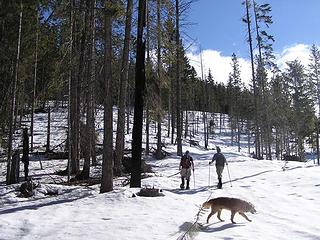 Through the clear cut toward the ridge