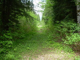 Trailhead down the road