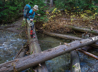 On trail 1315 - microspikes work great on slippery logs