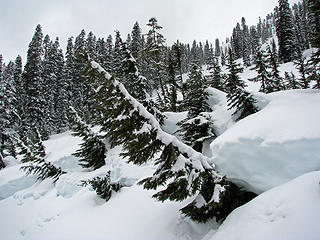 Slope off Nason Ridge