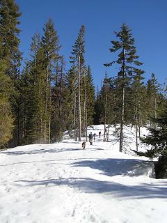 Heading up ridge