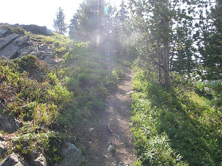 Trail heading up to Crystal Peak summit.