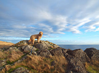 on the rock