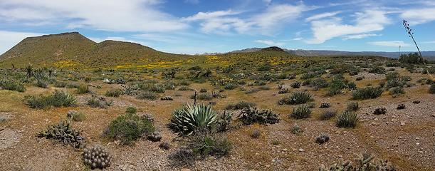 Plateau pano