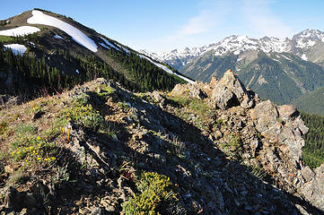 Looking up the ridge towards the path to Marmot Pass