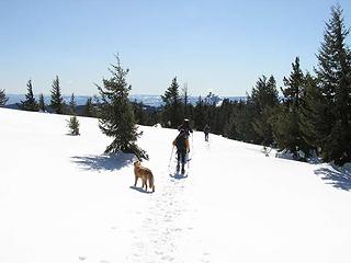 Ridge walk heading towards lookout