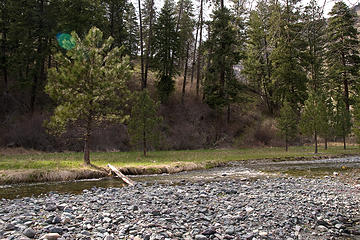 West Fork Rapid River near camp at Potters Flat, Seven Devils Mountains, Idaho.