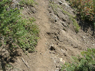 Trail erosion Shriner Peak trail.