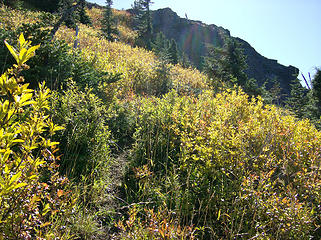 Trail up to Jumbo