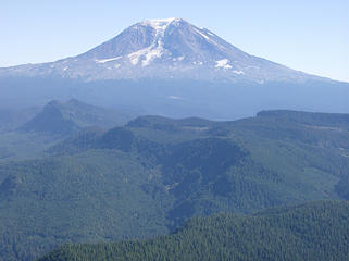 Mt. Adams as seen from atop Jumbo Pk.