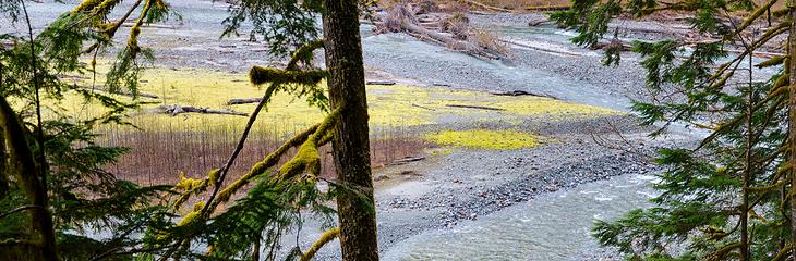 great colors in the river