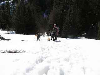 B & K with Gusto heading down slope in soft snow