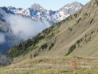 Mystery and Deception with a speck of Indian Paintbrush