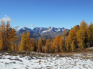 Fernow group framed by larch