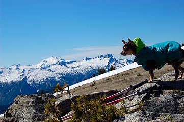 Luis with Glacier Peak and Buck Mt.