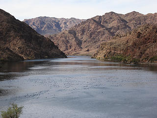 Willow Beach.  Lake Mead National Recreation Area, AZ