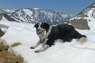 Izzy, the snowdog