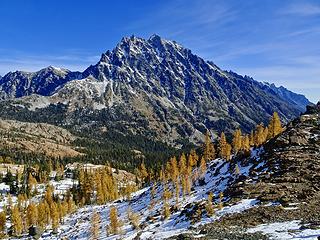 Larches and Stuart