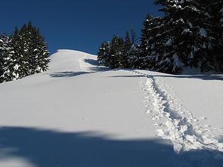 snowshoer tracks