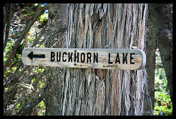 Buckhorn Lake trail off of the Tubal Cain trail.