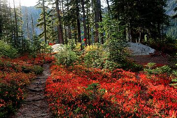 brilliant colors near camp