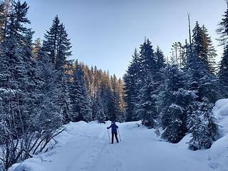 Walking the road