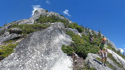 descending markhor