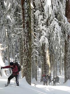 Snowshoers near the crest 1