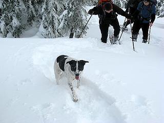 Fetching the stragglers