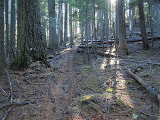 Ridge trail