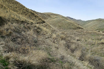 We started at the lower Horselake Rd. access to Sage Hills hiking North to South.