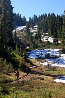 First meadow