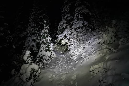 Snow covered trail
