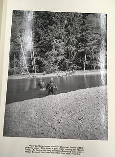 Queets River pack train 1938 01