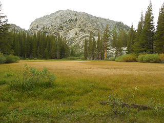 Nice meadow near Billy Lks.