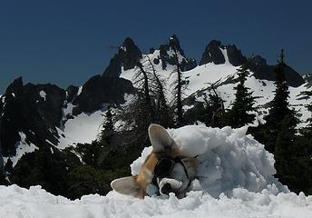 Al chilling out on the summit.