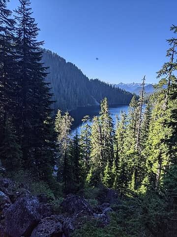 Chasing Shadows on Lower Falls, Chased by Bugs