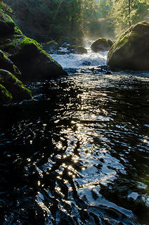 Big Quilcene River 7